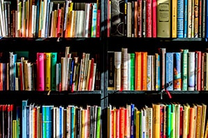 Media-Release-education