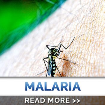 Donation-Malaria Donation-Malaria